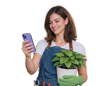 mobile media